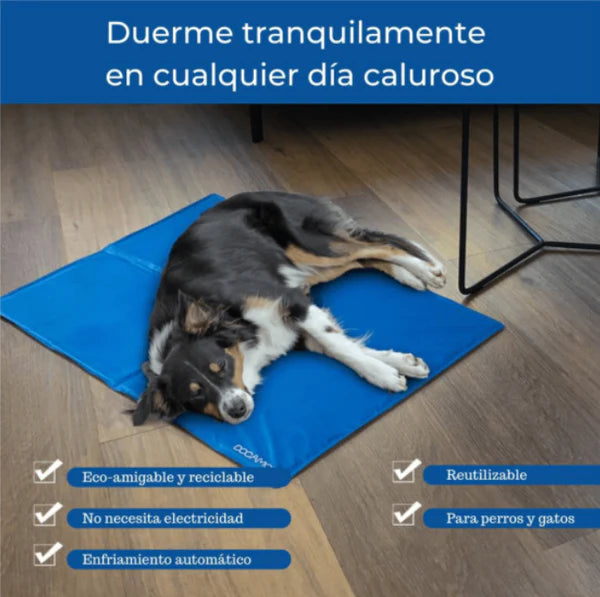 Refrescante Mat para tu otra familia!